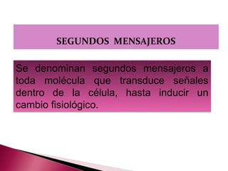 SEGUNDOS MENSAJEROS

Se denominan segundos mensajeros a
toda molécula que transduce señales
dentro de la célula, hasta inducir un
cambio fisiológico.
 