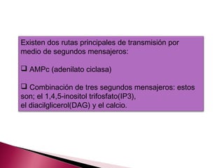 Existen dos rutas principales de transmisión por
medio de segundos mensajeros:

 AMPc (adenilato ciclasa)

 Combinación de tres segundos mensajeros: estos
son; el 1,4,5-inositol trifosfato(IP3),
el diacilglicerol(DAG) y el calcio.
 