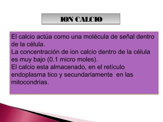 ION CALCIO

El calcio actúa como una molécula de señal dentro
de la célula.
La concentración de ion calcio dentro de la célula
es muy bajo (0.1 micro moles).
El calcio esta almacenado, en el retículo
endoplasma tico y secundariamente en las
mitocondrias.
 
