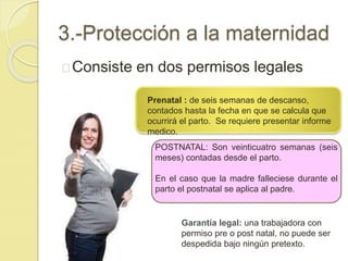 3.-Protección a la maternidad 
Consiste en dos permisos legales 
Prenatal : de seis semanas de descanso, 
contados hasta la fecha en que se calcula que 
ocurrirá el parto. Se requiere presentar informe 
medico. 
POSTNATAL: Son veinticuatro semanas (seis 
meses) contadas desde el parto. 
En el caso que la madre falleciese durante el 
parto el postnatal se aplica al padre. 
Garantía legal: una trabajadora con 
permiso pre o post natal, no puede ser 
despedida bajo ningún pretexto. 
 