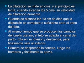 La dilatación se mide en cms. y al principio esLa dilatación se mide en cms. y al principio es
lenta; cuando alcanza los 5 cms. su velocidadlenta; cuando alcanza los 5 cms. su velocidad
de dilatación aumenta.de dilatación aumenta.
 Cuando se alcanza los 10 cm se dice que laCuando se alcanza los 10 cm se dice que la
dilatación es completa o suficiente para el pasodilatación es completa o suficiente para el paso
del feto.del feto.
 Al mismo tiempo que se producen los cambiosAl mismo tiempo que se producen los cambios
del cuello uterino, el feto se adapta al canal deldel cuello uterino, el feto se adapta al canal del
parto, rota en su interior y desciende, paraparto, rota en su interior y desciende, para
finalmente salir al exterior.finalmente salir al exterior.
 Primero se desprende la cabeza, luego losPrimero se desprende la cabeza, luego los
hombros y finalmente la pelvis.hombros y finalmente la pelvis.
 