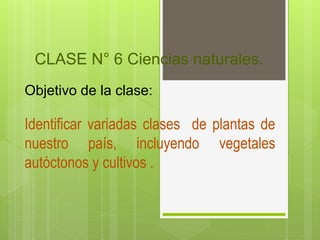 CLASE N° 6 Ciencias naturales.
Objetivo de la clase:
Identificar variadas clases de plantas de
nuestro país, incluyendo vegetales
autóctonos y cultivos .
 