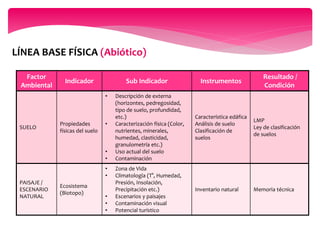 LINEA DE BASE EIA | PPTX