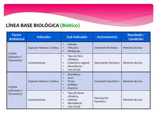 LINEA DE BASE EIA | PPTX