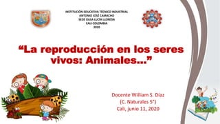 “La reproducción en los seres
vivos: Animales…”
Docente William S. Díaz
(C. Naturales 5°)
Cali, junio 11, 2020
INSTITUCIÓN EDUCATIVA TÉCNICO INDUSTRIAL
ANTONIO JOSÉ CAMACHO
SEDE OLGA LUCÍA LLOREDA
CALI-COLOMBIA
2020
 