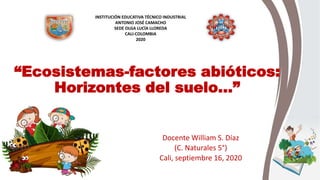 “Ecosistemas-factores abióticos:
Horizontes del suelo…”
Docente William S. Díaz
(C. Naturales 5°)
Cali, septiembre 16, 2020
INSTITUCIÓN EDUCATIVA TÉCNICO INDUSTRIAL
ANTONIO JOSÉ CAMACHO
SEDE OLGA LUCÍA LLOREDA
CALI-COLOMBIA
2020
 