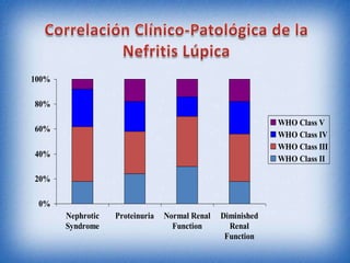 100%
80%
WHO Class V
WHO Class IV
WHO Class III
WHO Class II

60%
40%
20%
0%
Nephrotic
Syndrome

Proteinuria

Normal Renal
Function

Diminished
Renal
Function

 