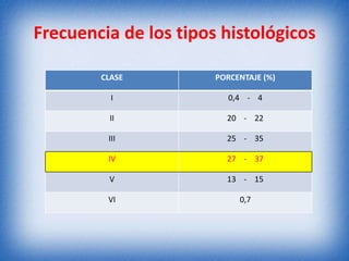 Frecuencia de los tipos histológicos
CLASE

PORCENTAJE (%)

I

0,4 - 4

II

20 - 22

III

25 - 35

IV

27 - 37

V

13 - 15

VI

0,7

 