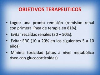 • Lograr una pronta remisión (remisión renal
con primera línea de terapia en 81%).
• Evitar recaídas renales (30 – 50%).
• Evitar ERC (10 a 20% en los siguientes 5 a 10
años)
• Mínima toxicidad (altos a nivel metabólico
óseo con glucocorticoides).

 