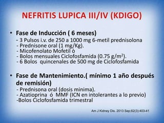 • Fase de Inducción ( 6 meses)
- 3 Pulsos i.v. de 250 a 1000 mg 6-metil prednisolona
- Prednisone oral (1 mg/Kg).
- Micofenolato Mofetil ò
- Bolos mensuales Ciclofosfamida (0.75 g/m2).
- 6 Bolos quincenales de 500 mg de Ciclofosfamida

• Fase de Mantenimiento.( mínimo 1 año después
de remisión)
- Prednisona oral (dosis minima).
- Azatioprina ó MMF (ICN en intolerantes a lo previo)
-Bolos Ciclofosfamida trimestral

Am J Kidney Dis. 2013 Sep;62(3):403-41

 