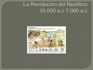 La Revolución del Neolítico10.000 a.c 7.000 a.c