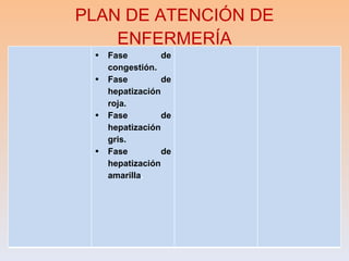 PLAN DE ATENCIÓN DE ENFERMERÍA Fase de congestión. Fase de hepatización  roja. Fase de hepatización gris. Fase de hepatización  amarilla . 