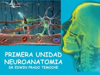 PRIMERA UNIDAD
NEUROANATOMIA
DR EDWIN PRADO TEMOCHE
 