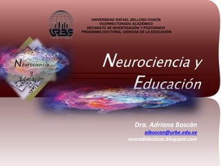 Neurociencia y
Educación
UNIVERSIDAD RAFAEL BELLOSO CHACÍN
VICERRECTORADO ACADÉMICO
DECANATO DE INVESTIGACIÓN Y POSTGRADO
PROGRAMA DOCTORAL CIENCIAS DE LA EDUCACIÓN
Dra. Adriana Boscán
aiboscan@urbe.edu.ve
neurodidacticas.blogspot.com
Neurociencia
y
Educación
 