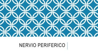NERVIO PERIFERICO
 