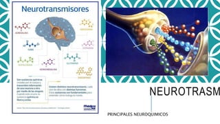 NEUROTRASM
PRINCIPALES NEUROQUIMICOS
 