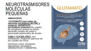 NEUROTRASMISORES
MOLÉCULAS
PEQUEÑAS
AMINOACIDOS:
GLUTAMATO (casi todas las
neuronas excitadoras del SNC y
sinapsis), ASPARTATO
(excitadores potentes) Por medio
de receptores activan la célula
abriendo canales de sodio y
generando potenciales de acción.
GABA Y GLICINA (SNC): son
inhibidores. Producen apertura de
los canales de Cloro
Fármacos como: diazepam,
alprazolam, lorazepam.
(ANSIOLITICOS Y SEDANTES)
 