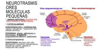 NEUROTRASMIS
ORES
MOLÉCULAS
PEQUEÑAS
1.AMINAS BIÓGENAS (PUEDEN SER
EXITATORIAS E INHBITORIAS)
2.CATOCALAMINAS
NORADRENALINA y ADRENALINA:
vigilia y despertar regulación del
estado anímico
DOPAMINA: placer, adicciones y
emociones. AUMENTO:
esquizofrenia DEFICIT: parkinson
5 hidroxitriptamina
SEROTONINA: Núcleos del rafe,
percepción sensorial, temperatura,
estado de animo, apetito e
inducción del sueño
 