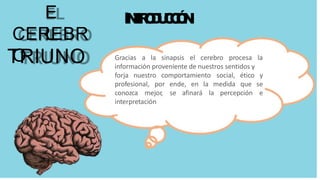 Gracias a la sinapsis el cerebro procesa la
información proveniente de nuestros sentidos y
forja nuestro comportamiento
profesional, por
social,
ende, en la medida
conozca mejor, se afinará la percepción
ético y
que se
e
interpretación
c
I
I
I
I
I
I
I
N
T
R
O
D
U
C
C
I
Ó
N
E
L
CEREBR
O
TRIUNO
 