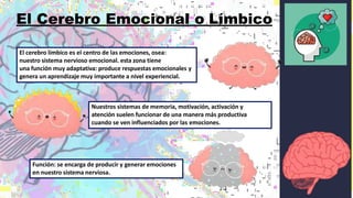 El Cerebro Emocional o Límbico
El cerebro límbico es el centro de las emociones, osea:
nuestro sistema nervioso emocional. esta zona tiene
una función muy adaptativa: produce respuestas emocionales y
genera un aprendizaje muy importante a nivel experiencial.
Nuestros sistemas de memoria, motivación, activación y
atención suelen funcionar de una manera más productiva
cuando se ven influenciados por las emociones.
Función: se encarga de producir y generar emociones
en nuestro sistema nerviosa.
 