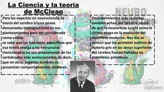 La Ciencia y la teoría
de McClean
Para los expertos en neurociencia, la
teoría del cerebro triuno posee
demasiadas incongruencias en sus
planteamientos para ser considerada
como válida.
se sabe que las funciones específicas que
esa teoría otorga a las estructuras
mencionadas no son propiamente de los
vertebrados más evolucionados, es decir,
que en otras especies también se
presentan comportamientos similares.
Descubrimientos más recientes
también echan por tierra la teoría
de que la neocorteza surgió comola
última etapa en la evolución del
mamífero moderno. Hoy día se
conoce que los primeros indicios de
materia gris en las zonas superiores
del cerebro fueron hallados en
mamíferos primitivos.
 