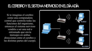 ELCEREBROYELSISTEMANERVIOSOENELDÍAADÍA
Si te imaginas el cerebro
como una computadora
central que controla todas las
funciones del organismo,
entonces el sistema nervioso
vendría a ser una red o
entramado que envía
mensajes en ambas
direcciones entre el cerebro y
las distintas partes del cuerpo.
 