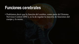 Funciones cerebrales
• Podríamos decir que la función del cerebro, como parte del Sistema
Nervioso Central (SNC), es la de regular la mayoría de funciones del
cuerpo y la mente.
 