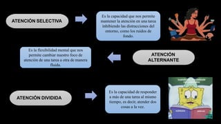 Es la capacidad que nos permite
mantener la atención en una tarea
inhibiendo las distracciones del
entorno, como los ruidos de
fondo.
ATENCIÓN SELECTIVA
Es la flexibilidad mental que nos
permite cambiar nuestro foco de
atención de una tarea a otra de manera
fluida.
ATENCIÓN
ALTERNANTE
ATENCIÓN DIVIDIDA
Es la capacidad de responder
a más de una tarea al mismo
tiempo, es decir, atender dos
cosas a la vez.
 