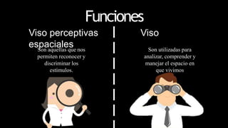 Funciones
Viso perceptivas Viso
espaciales
Son aquellas que nos
permiten reconocer y
discriminar los
estímulos.
Son utilizadas para
analizar, comprender y
manejar el espacio en
que vivimos
 
