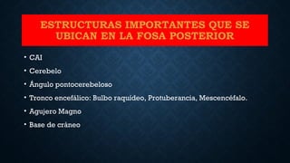 ESTRUCTURAS IMPORTANTES QUE SE
UBICAN EN LA FOSA POSTERIOR
• CAI
• Cerebelo
• Ángulo pontocerebeloso
• Tronco encefálico: Bulbo raquídeo, Protuberancia, Mescencéfalo.
• Agujero Magno
• Base de cráneo
 