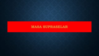 MASA SUPRASELAR
 