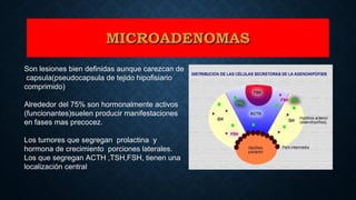Son lesiones bien definidas aunque carezcan de
capsula(pseudocapsula de tejido hipofisiario
comprimido)
Alrededor del 75% son hormonalmente activos
(funcionantes)suelen producir manifestaciones
en fases mas precocez.
Los tumores que segregan prolactina y
hormona de crecimiento porciones laterales.
Los que segregan ACTH ,TSH,FSH, tienen una
localización central
MICROADENOMASMICROADENOMAS
 