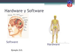 Proceso : tratamiento de la información. 