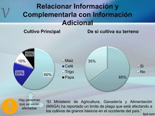 V
Relacionar Información y
Complementarla con Información
Adicional
60%20%
10%
10%
Cultivo Principal
Maiz
Café
Trigo
Papa 65%
35%
De si cultiva su terreno
Si
No
“El Ministerio de Agricultura, Ganadería y Alimentación
(MAGA) ha reportado un brote de plaga que está afectando a
los cultivos de granos básicos en el occidente del país.”
Hay personas
que se verán
afectadas
 