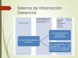 Sistema de Información
Gerencial
Ing. Alba Lissette Peguero
 