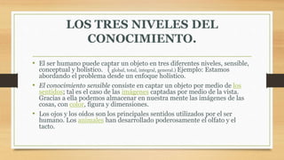 LOS TRES NIVELES DEL
CONOCIMIENTO.
• El ser humano puede captar un objeto en tres diferentes niveles, sensible,
conceptual y holístico. ( global, total, integral, general.) Ejemplo: Estamos
abordando el problema desde un enfoque holístico.
• El conocimiento sensible consiste en captar un objeto por medio de los
sentidos; tal es el caso de las imágenes captadas por medio de la vista.
Gracias a ella podemos almacenar en nuestra mente las imágenes de las
cosas, con color, figura y dimensiones.
• Los ojos y los oídos son los principales sentidos utilizados por el ser
humano. Los animales han desarrollado poderosamente el olfato y el
tacto.
 