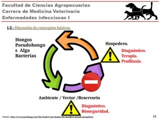 Enfermedades Infecciosas I veterinaria | PPTX