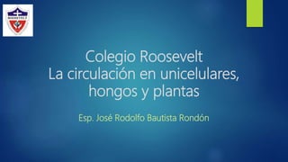 Colegio Roosevelt
La circulación en unicelulares,
hongos y plantas
Esp. José Rodolfo Bautista Rondón
 