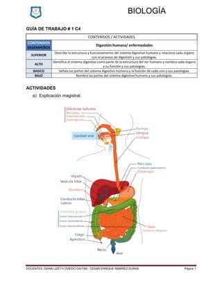 DOCENTES: DIANA LIZETH OVIEDO GAITAN - CESAR ENRIQUE RAMÍREZ DURAN Página 1
BIOLOGÍA
GUÍA DE TRABAJO # 1 C4
CONTENIDOS / ACTIVIDADES
CONTENIDOS
DESEMPEÑOS
Digestión humana/ enfermedades
SUPERIOR
Describe la estructura y funcionamiento del sistema digestivo humano y relaciona cada órgano
con el proceso de digestión y sus patologías.
ALTO
Identifica el sistema digestivo como parte de la estructura del ser humano y nombra cada órgano
y su función y sus patologías.
BASICO Señala las partes del sistema digestivo humano y la función de cada uno y sus patologías.
BAJO Nombra las partes del sistema digestivo humano y sus patologías.
ACTIVIDADES
a) Explicación magistral.
 