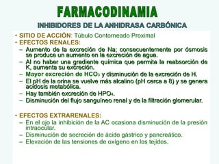 • SITIO DE ACCIÓN: Túbulo Contorneado Proximal
• EFECTOS RENALES:
– Aumento de la excreción de Na; consecuentemente por ósmosis
se produce un aumento en la excreción de agua.
– Al no haber una gradiente química que permita la reabsorción de
K, aumenta su excreción.
– Mayor excreción de HCO3 y disminución de la excreción de H.
– El pH de la orina se vuelve más alcalino (pH cerca a 8) y se genera
acidosis metabólica.
– Hay también excreción de HPO4.
– Disminución del flujo sanguíneo renal y de la filtración glomerular.
• EFECTOS EXTRARENALES:
– En el ojo la inhibición de la AC ocasiona disminución de la presión
intraocular.
– Disminución de secreción de ácido gástrico y pancreático.
– Elevación de las tensiones de oxígeno en los tejidos.

 