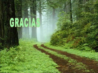 Clase no 1 diuréticos