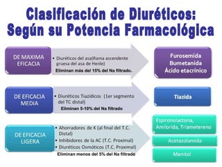 Eliminan más del 15% del Na filtrado.

Eliminan 5-10% del Na filtrado

Eliminan menos del 5% del Na filtrado

 