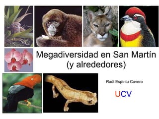 Megadiversidad en San Martín (y alrededores) Raúl Espíritu Cavero U CV 