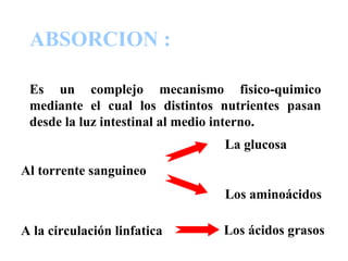 Es un complejo mecanismo fisico-quimico
mediante el cual los distintos nutrientes pasan
desde la luz intestinal al medio interno.
ABSORCION :
Al torrente sanguineo
A la circulación linfatica
La glucosa
Los aminoácidos
Los ácidos grasos
 