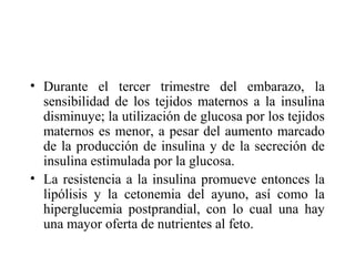 • Durante el tercer trimestre del embarazo, la
sensibilidad de los tejidos maternos a la insulina
disminuye; la utilización de glucosa por los tejidos
maternos es menor, a pesar del aumento marcado
de la producción de insulina y de la secreción de
insulina estimulada por la glucosa.
• La resistencia a la insulina promueve entonces la
lipólisis y la cetonemia del ayuno, así como la
hiperglucemia postprandial, con lo cual una hay
una mayor oferta de nutrientes al feto.
 