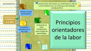 Orientaciones
pedagógicas
de la NEM
Gestión escolar
participativa
compromiso de todos sus miembros y de la
comunidad con un enfoque de trabajo
colaborativo
La práctica
educativa en el
día a día
El docente es
actor
fundamental
para el logro de
aprendizajes
El derecho de los NNA a la educación
significa que son sujetos activos en el
desarrollo de sus potencialidades
El interés, las necesidades, los desafíos son
ejes reguladores de la actividad en el salón.
Los NNA son considerados en igualdad de
condiciones
Atención a la diversidad
Promoción del trabajo colaborativo y la
cultura de la paz
Coherencia entre el discurso y la práctica
Vinculación con la comunidad
Docente/Director
Principios
orientadores
de la labor
 