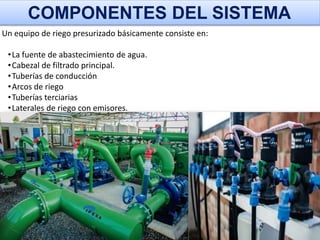 Modulo De Riega CLASES DE RIEGO,INGENEIRIA DE RIEGO AGRIVOLA | PPT