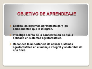  Explica los sistemas agroforestales y los
componentes que lo integran.
 Investiga acerca de la conservación de suelo
aplicado en sistemas agroforestales.
 Reconoce la importancia de aplicar sistemas
agroforestales en el manejo integral y sostenible de
una finca.
 