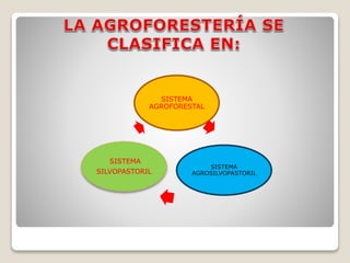 SISTEMA
AGROFORESTAL
SISTEMA
AGROSILVOPASTORIL
SISTEMA
SILVOPASTORIL
 