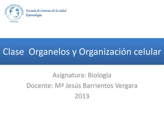 Escuela de Ciencias de la Salud
Kinesiología

Clase Organelos y Organización celular
Asignatura: Biología
Docente: Mª Jesús Barrientos Vergara
2013

 